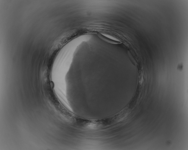 X0000116610504200912312121