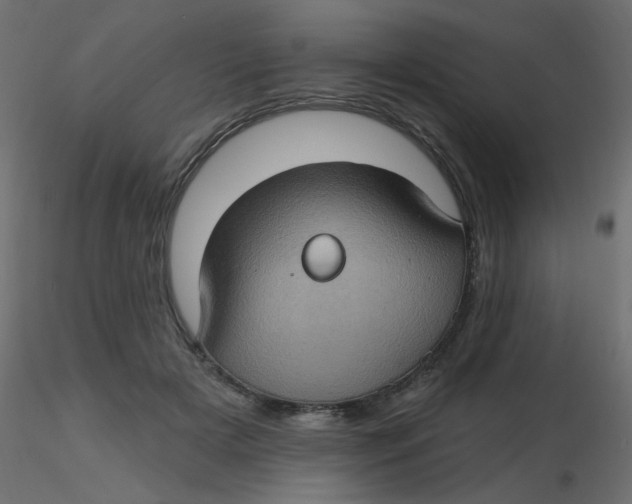 X0000116610505200912312121