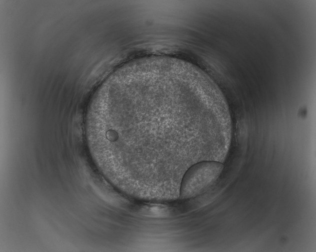 X0000116610506200912312121