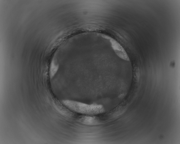 X0000116610507200912312121