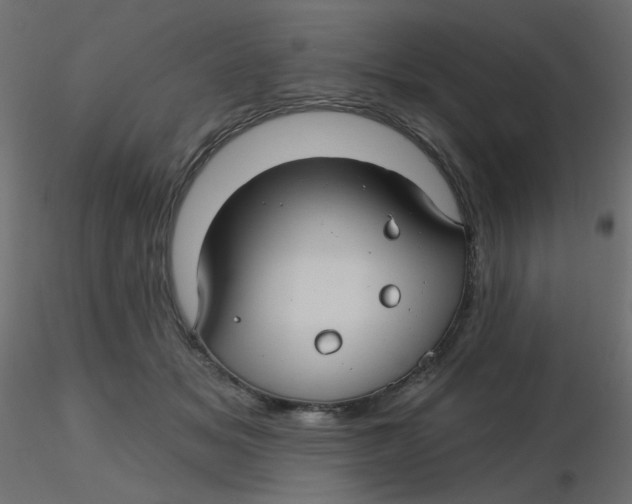 X0000116610509200912312121