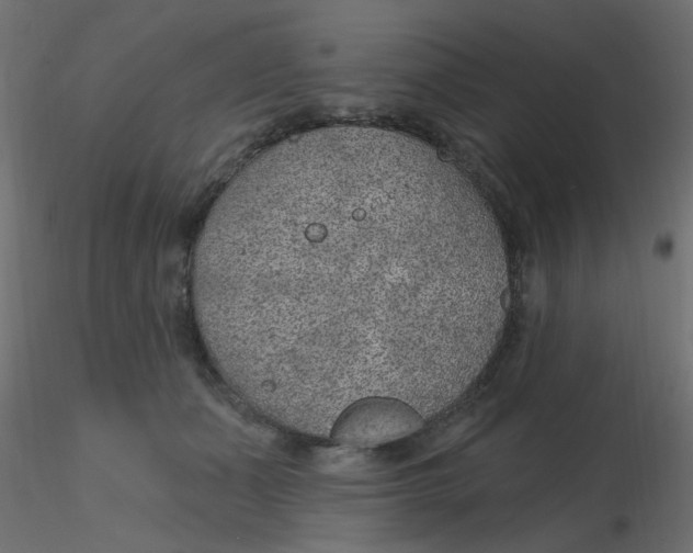 X0000116610511200912312121