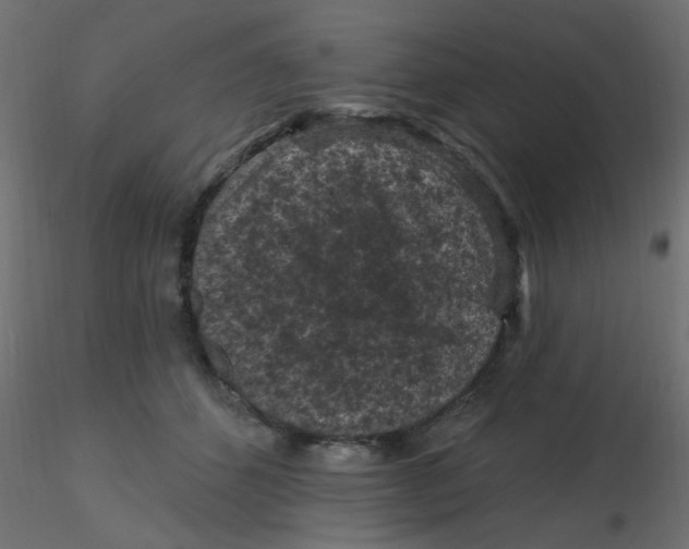 X0000116610512200912312121