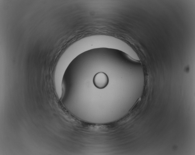 X0000116610517200912312120