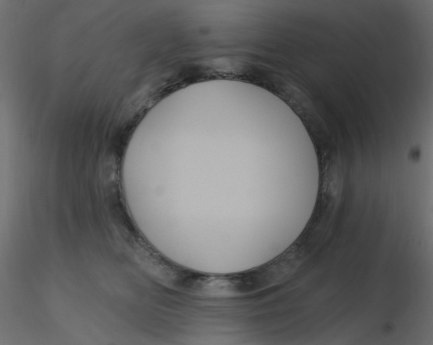 X0000116610518200912312120