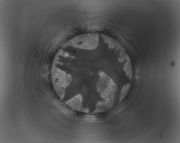 X0000116610519200912312120