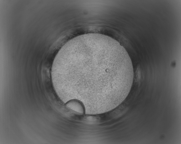 X0000116610522200912312120