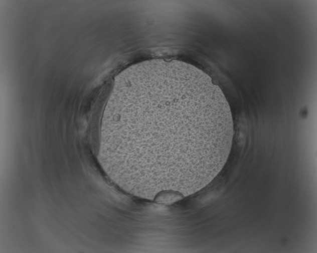 X0000116610523200912312120