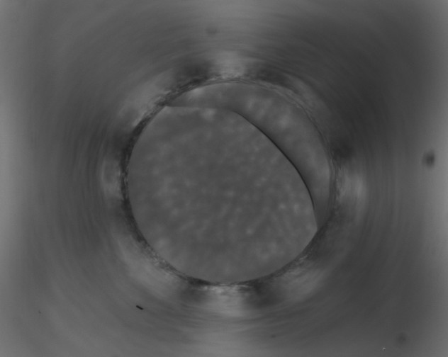 X0000116610524200912312120