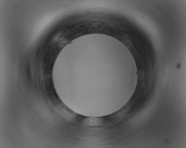 X0000116610526200912312120