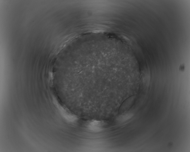 X0000116610527200912312120