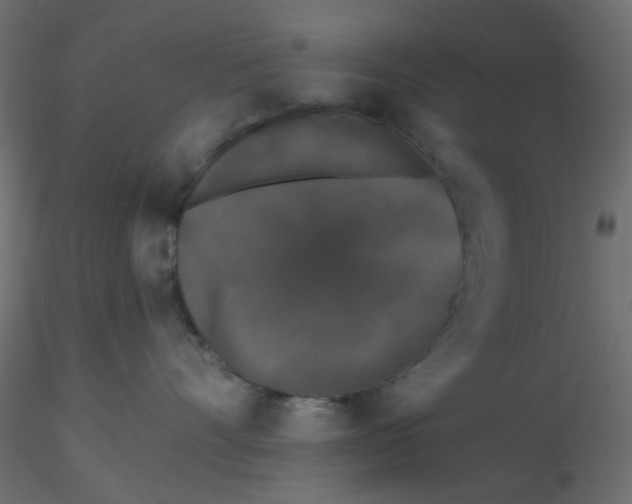 X0000116610528200912312120