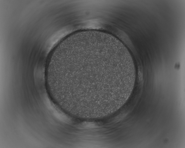 X0000116610534200912312120