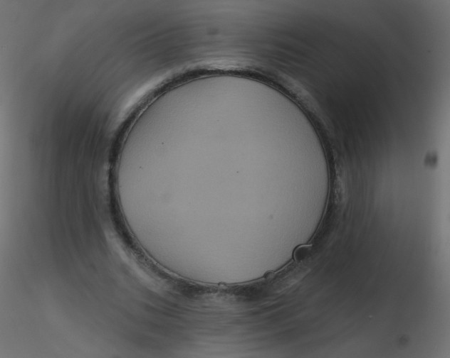 X0000116610535200912312120