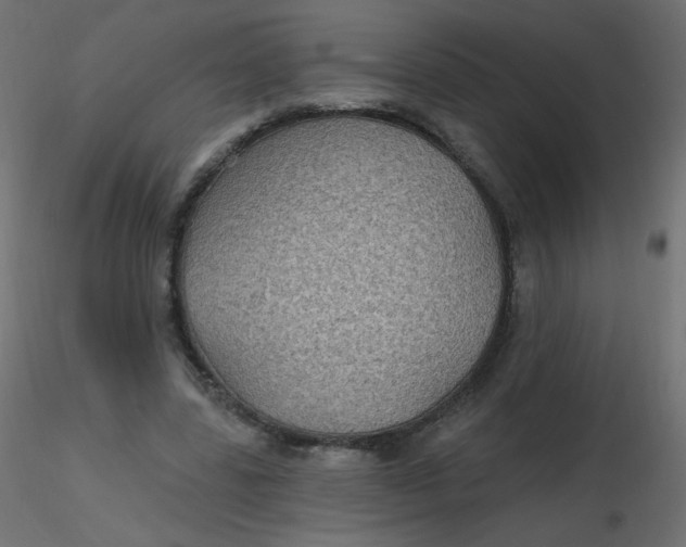 X0000116610539200912312120