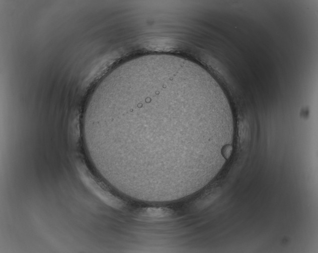 X0000116610541200912312120