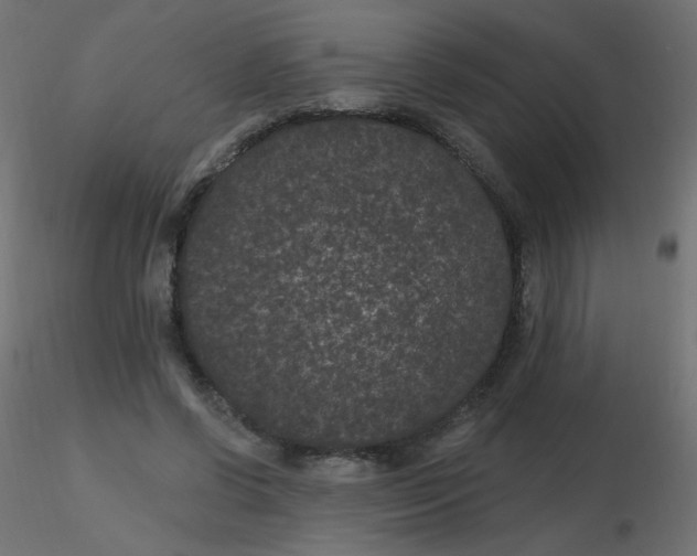 X0000116610542200912312120