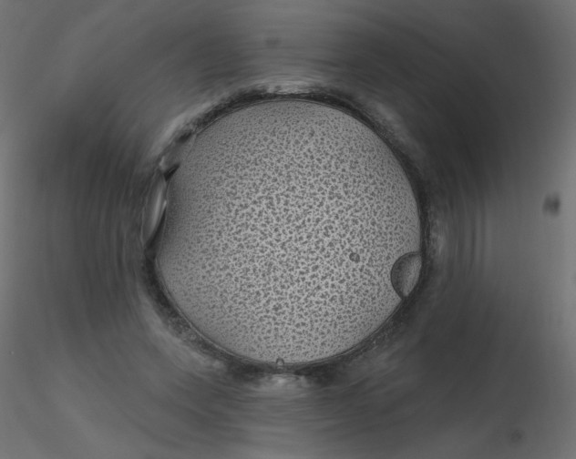 X0000116610543200912312120