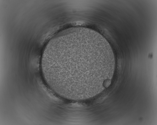 X0000116610545200912312120