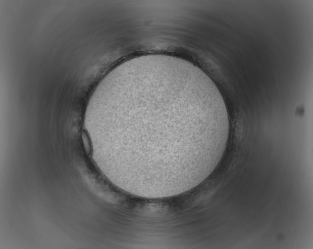 X0000116610546200912312120