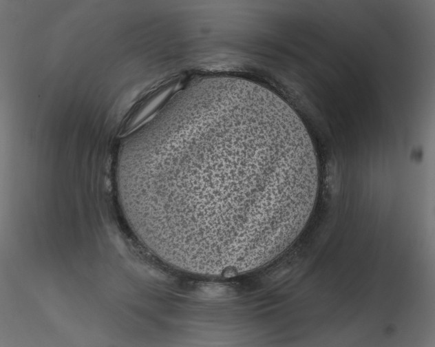 X0000116610547200912312120