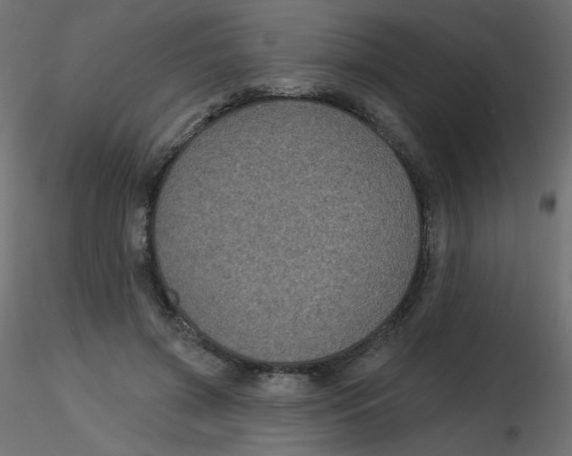 X0000116610549200912312120