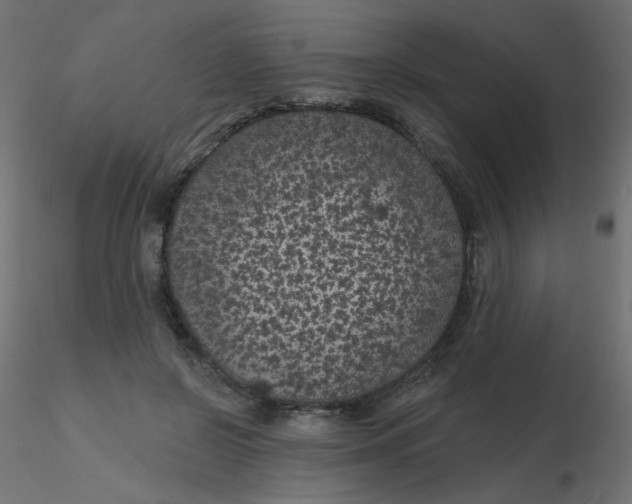 X0000116610550200912312120