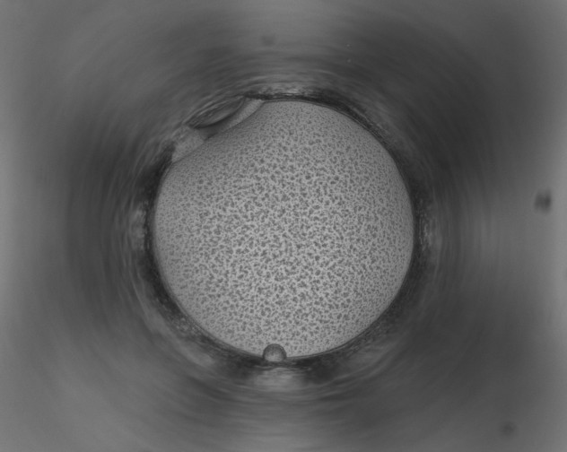 X0000116610551200912312120