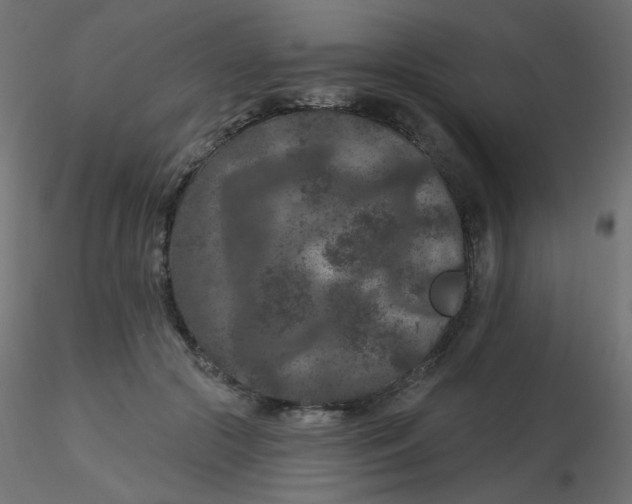 X0000116610553200912312120