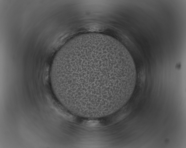 X0000116610554200912312120