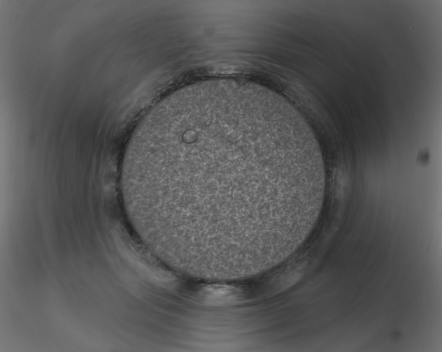 X0000116610557200912312120