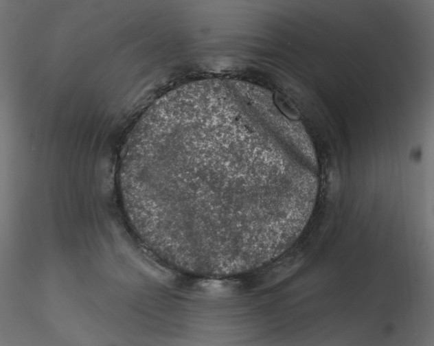 X0000116610558200912312120