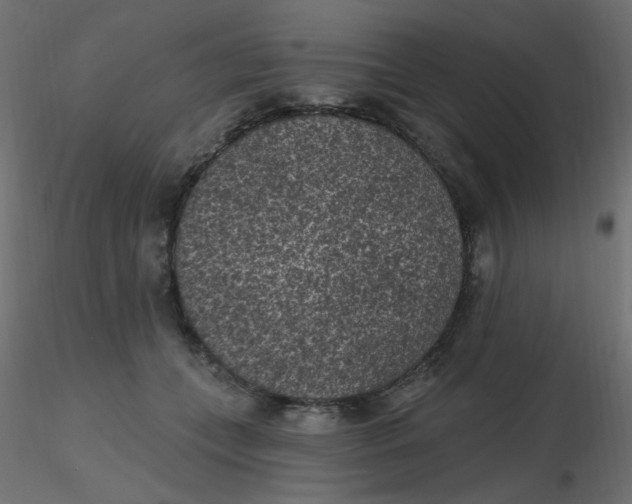 X0000116610559200912312120