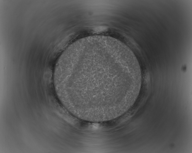 X0000116610565200912312120