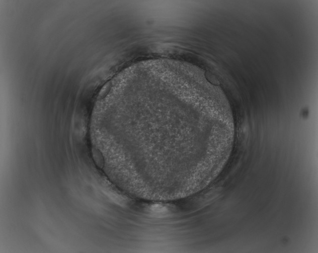 X0000116610566200912312120