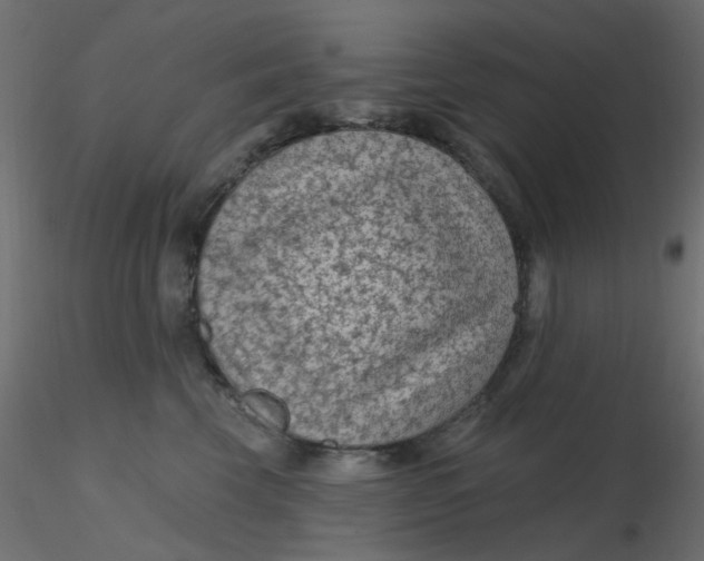 X0000116610569200912312120