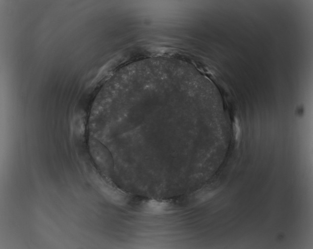 X0000116610570200912312120