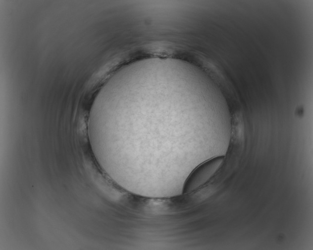 X0000116610573200912312120