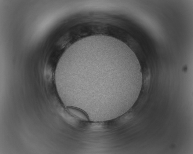 X0000116610574200912312120