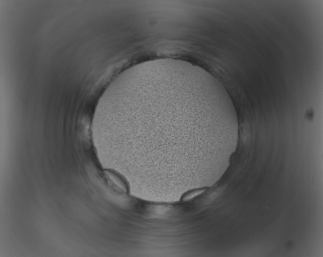 X0000116610575200912312120