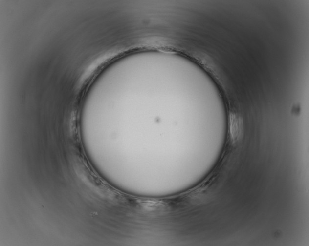 X0000116610579200912312120