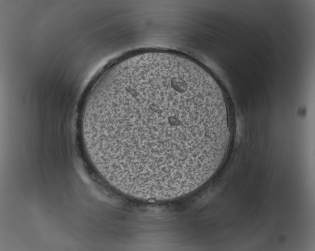 X0000116610580200912312120