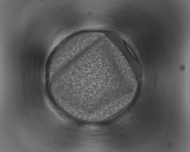 X0000116610582200912312120