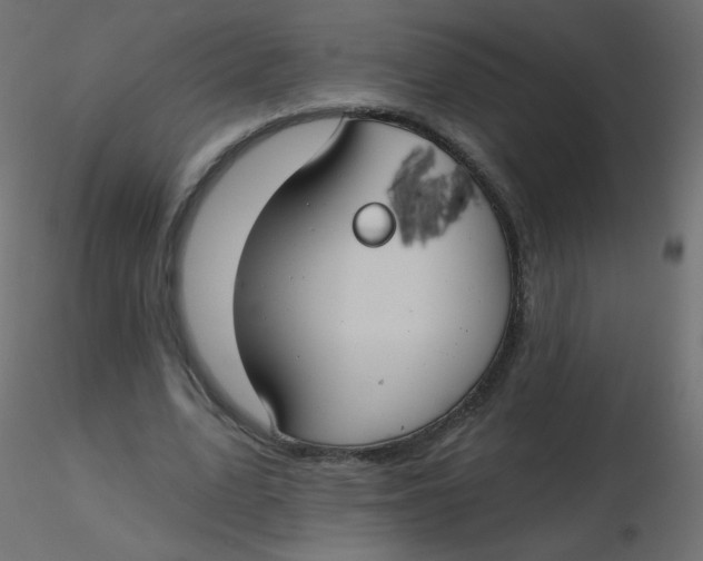 X0000116610583200912312120