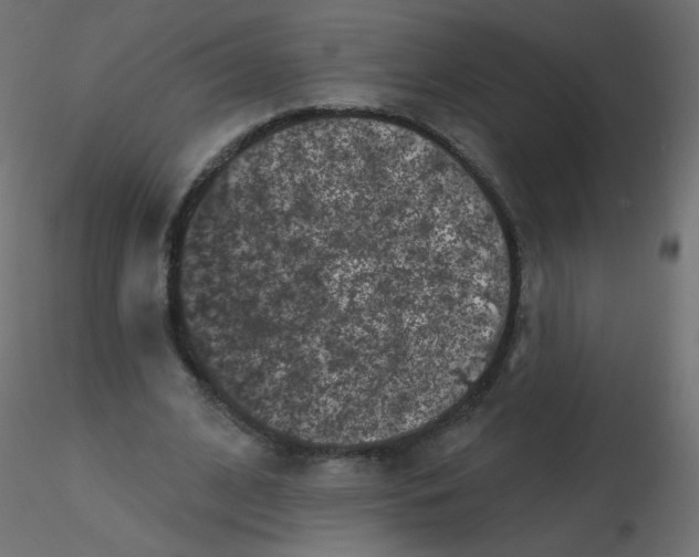 X0000116610584200912312120