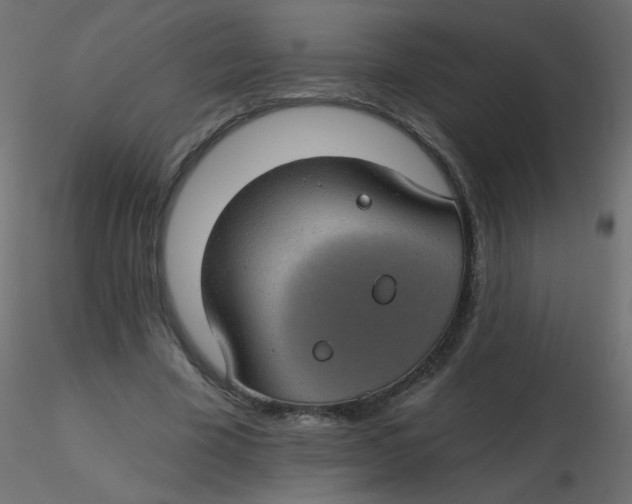 X0000116610585200912312120