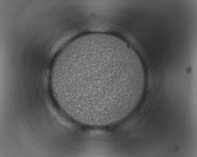 X0000116610586200912312120