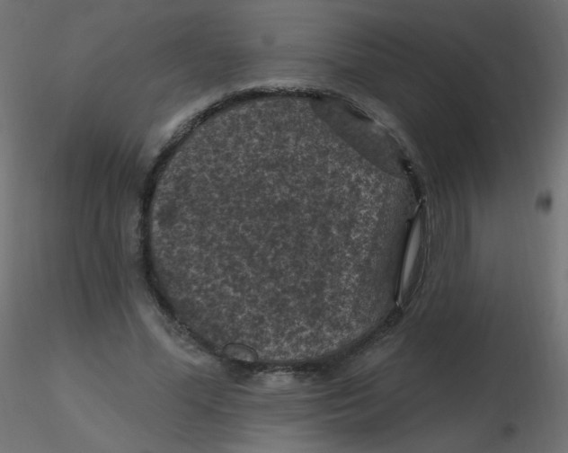 X0000116610588200912312119