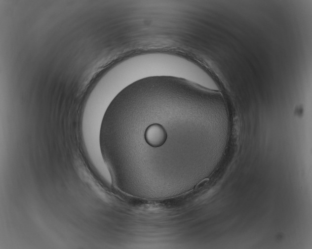 X0000116610589200912312119