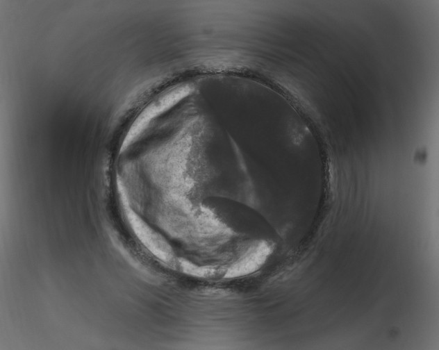 X0000116610590200912312119